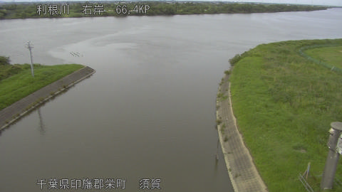 tonsu2026061616_image