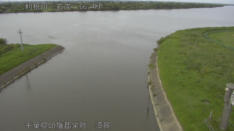 tonsu2026061617_image