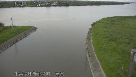 tonsu2026061619_image