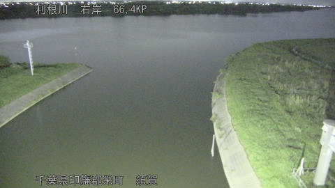 tonsu2026061623_image