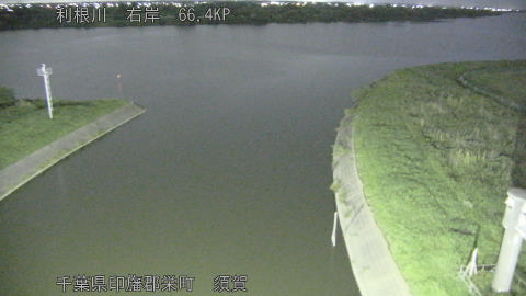 tonsu2026061700_image