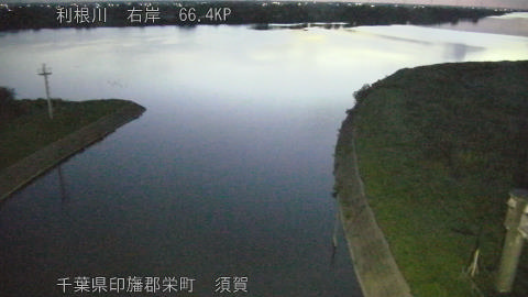 tonsu2026061704_image