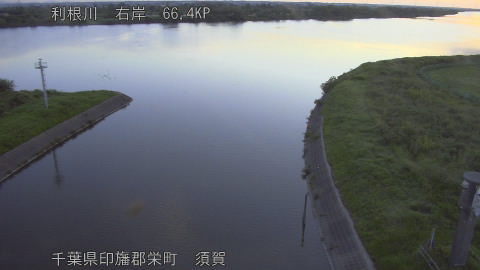 tonsu2026061705_image
