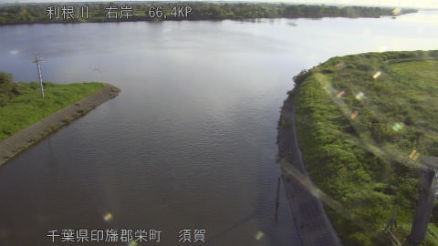 tonsu2026061706_image