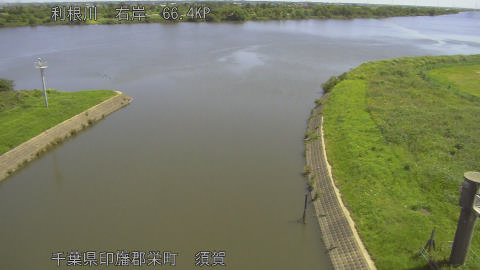tonsu2026061710_image