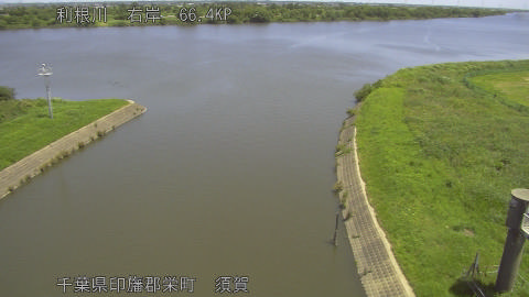 tonsu2026061711_image