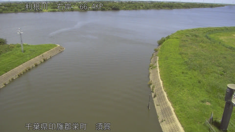tonsu2026061712_image
