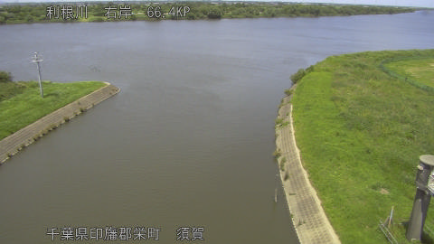 tonsu2026061713_image