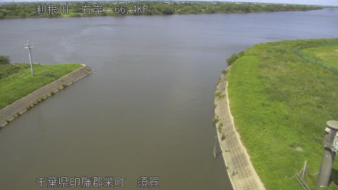 tonsu2026061714_image