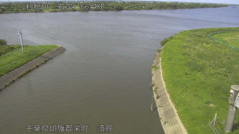 tonsu2026061715_image