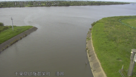 tonsu2026061716_image