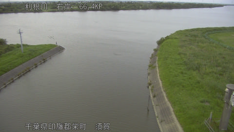 tonsu2026061719_image