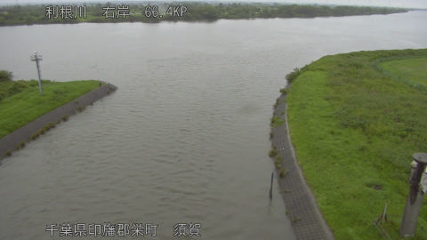 tonsu2026061808_image