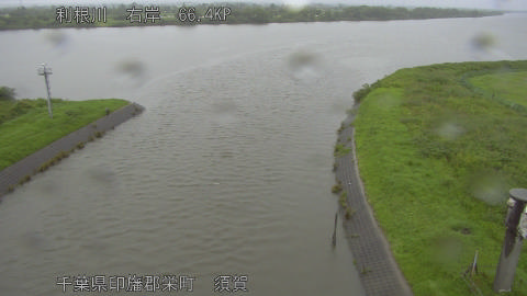 tonsu2026061809_image