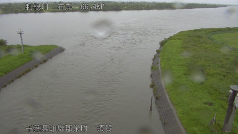 tonsu2026061811_image