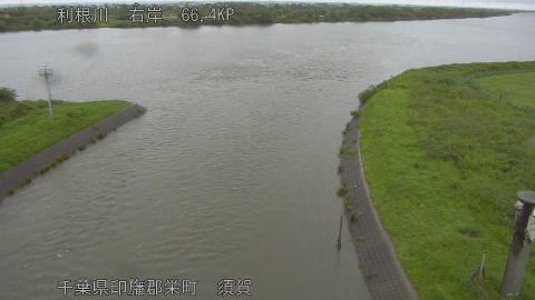 tonsu2026061812_image