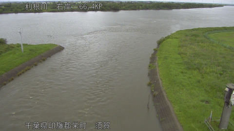 tonsu2026061813_image