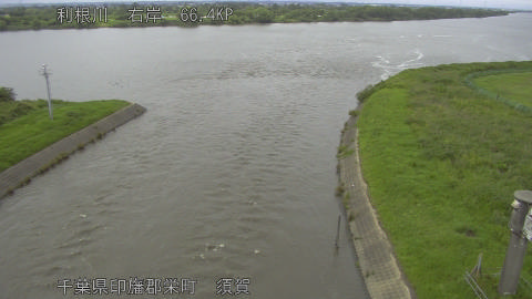 tonsu2026061815_image