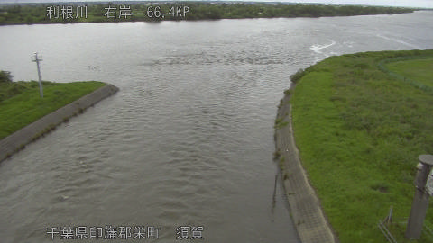 tonsu2026061817_image