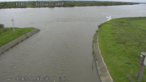 tonsu2026061818_image