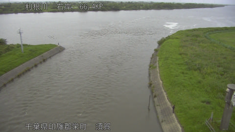 tonsu2026061819_image