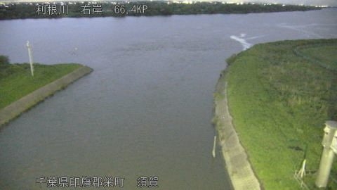 tonsu2026061820_image