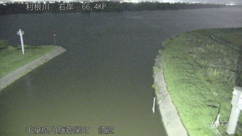 tonsu2026061821_image
