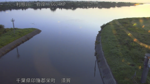 tonsu2026061905_image