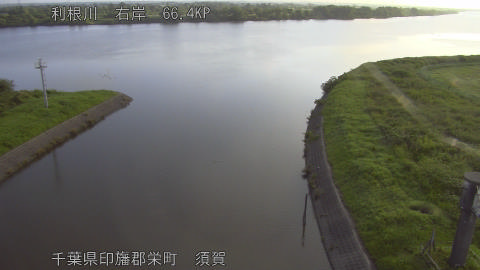 tonsu2026061906_image