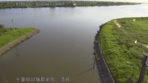 tonsu2026061907_image