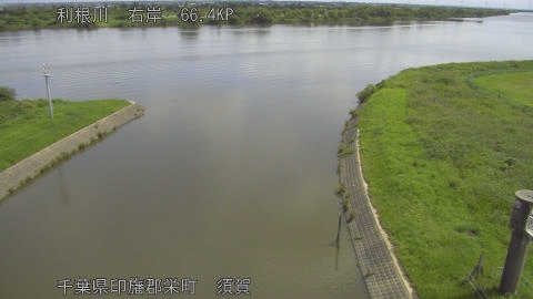 tonsu2026061910_image