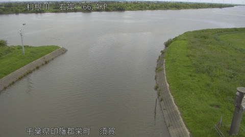 tonsu2026061911_image