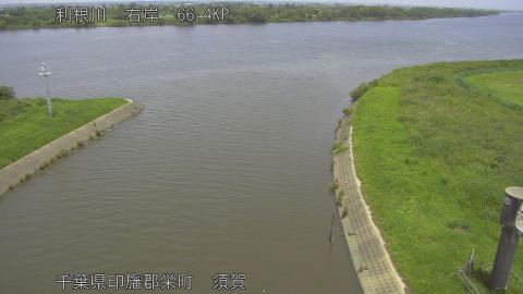 tonsu2026061912_image