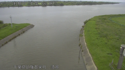 tonsu2026061913_image