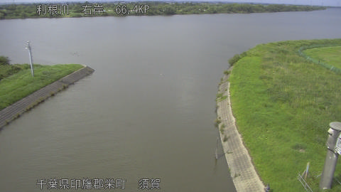 tonsu2026061915_image