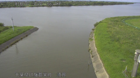 tonsu2026061916_image