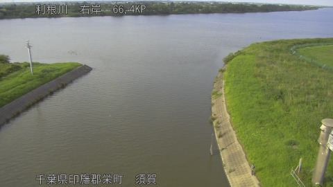 tonsu2026061917_image