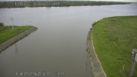 tonsu2026061919_image