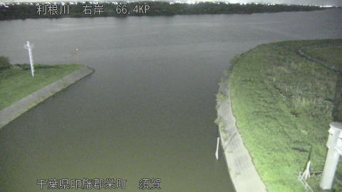tonsu2026061921_image
