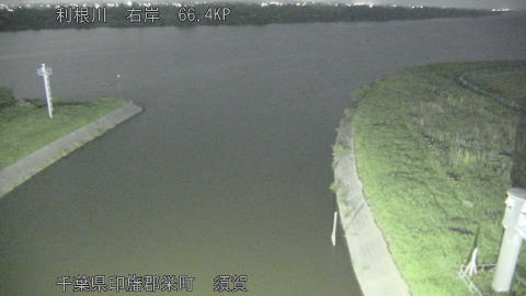 tonsu2026061922_image