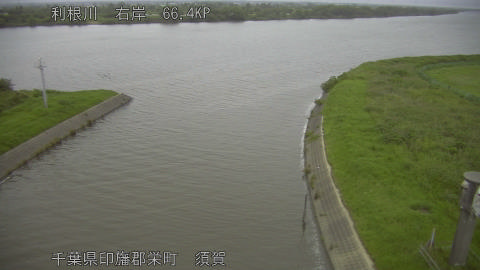 tonsu2026062005_image