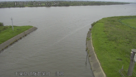 tonsu2026062007_image