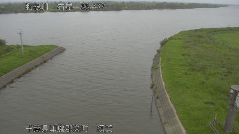 tonsu2026062009_image