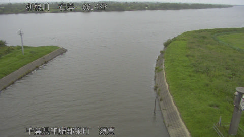 tonsu2026062010_image