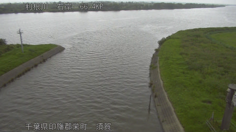 tonsu2026062013_image