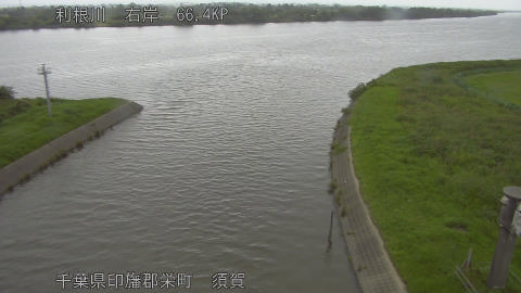 tonsu2026062014_image