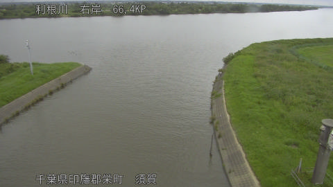tonsu2026062016_image