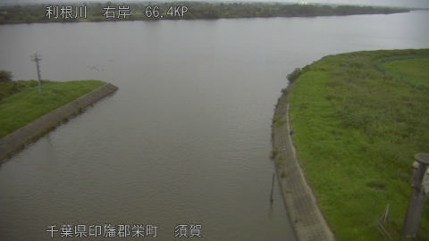 tonsu2026062019_image