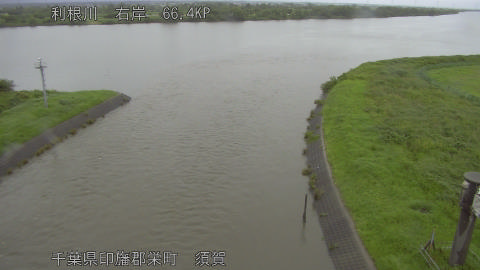 tonsu2026062107_image