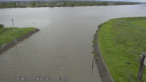 tonsu2026062108_image